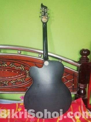 Indian Guiter